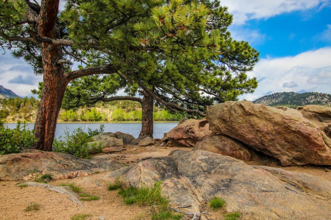 Twin Pines Cabin Естес Парк Екстериор снимка